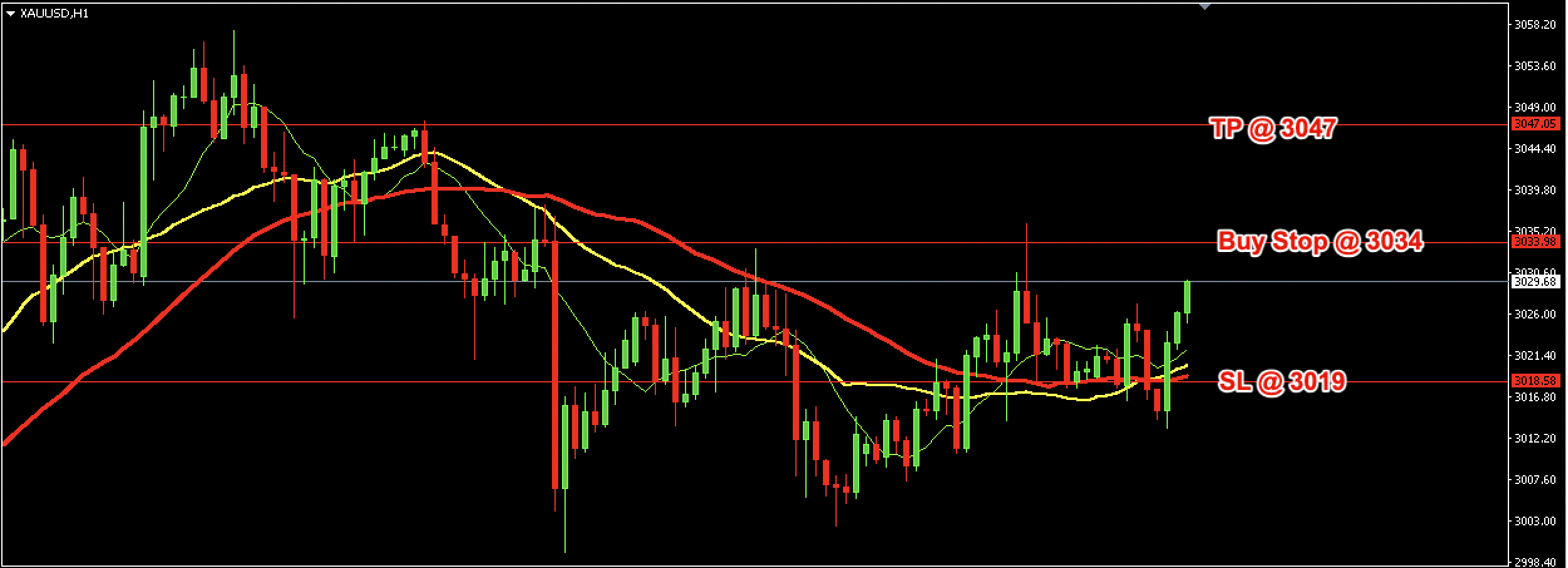 XAU/USD Daily Price Forecast – 26th March 2025